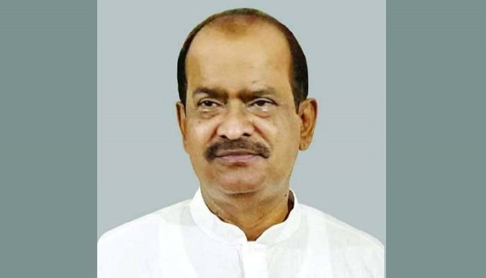 গোলাম আযমের ফর্মুলায় আন্দোলন করেছিল আ.লীগ