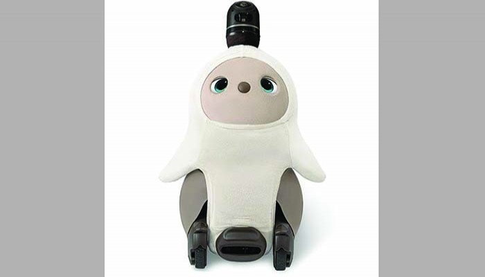 জাপানের লোভট ক‍্যাফে