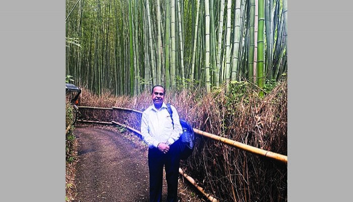 কিয়োটো থেকে কোবে